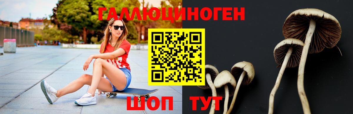 Псилоцибиновые грибы GOLDEN TEACHER  Вход с VPN  купить наркоту  Грозный 