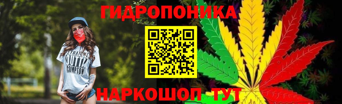 Канабис SATIVA & INDICA Грозный